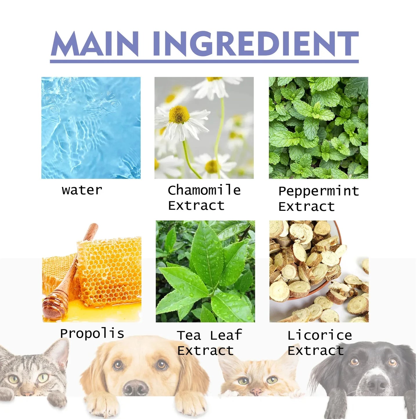 50ml Pet Oral Cleanse Spray
