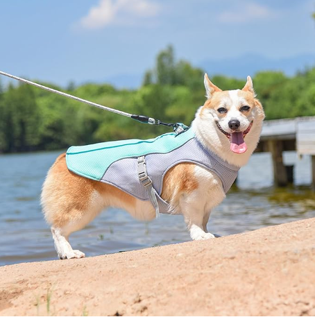 Summer Dog Cooling Vest Harness