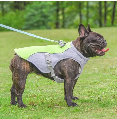 Summer Dog Cooling Vest Harness