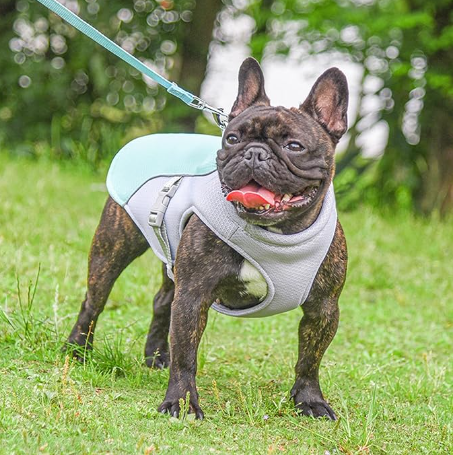 Summer Dog Cooling Vest Harness