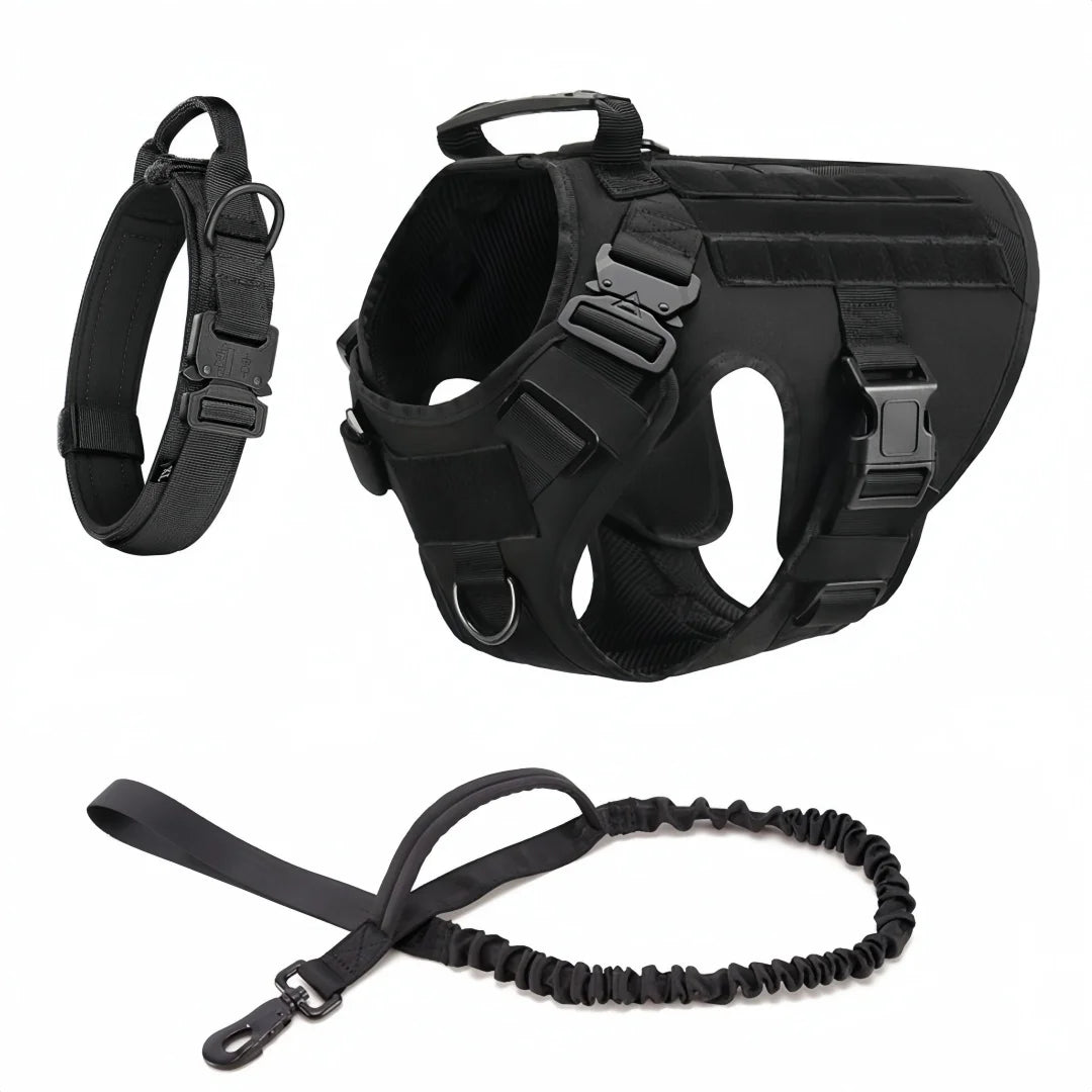 Large Dog Harness, Leash and collar Set Anti-pull