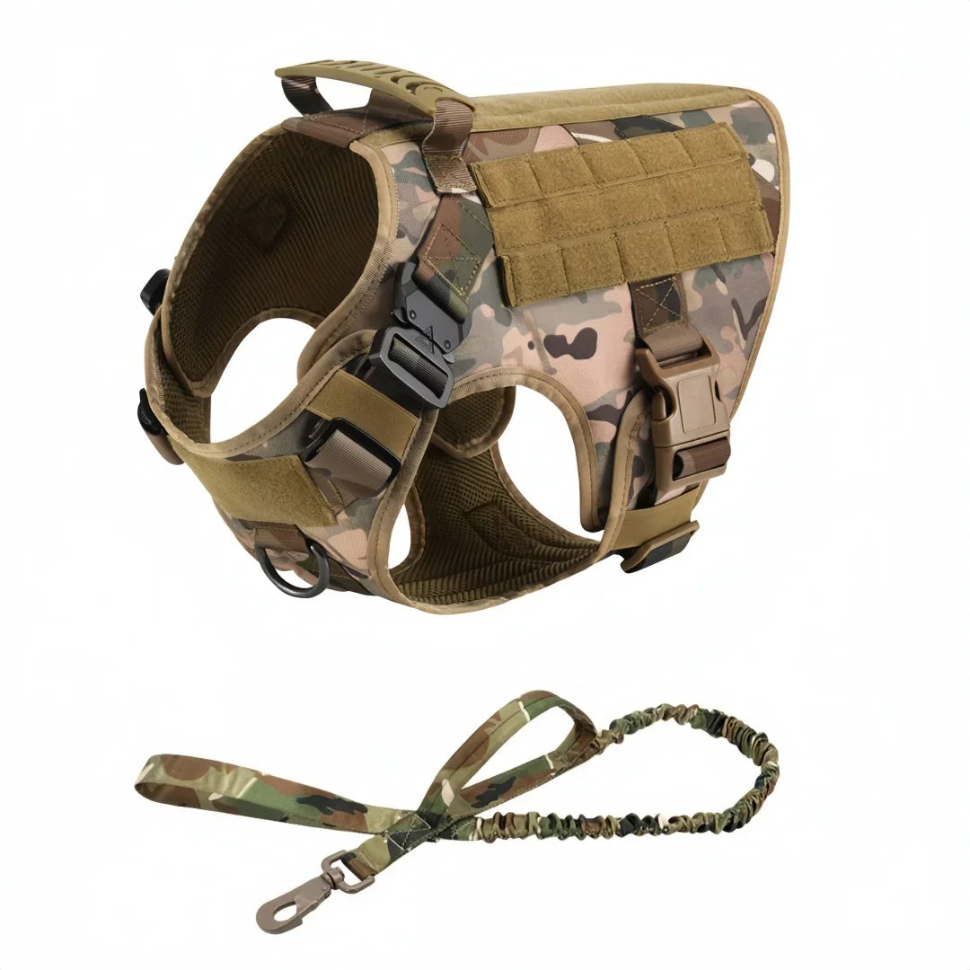 48862653776200|48862653841736|48862653874504|48862654202184