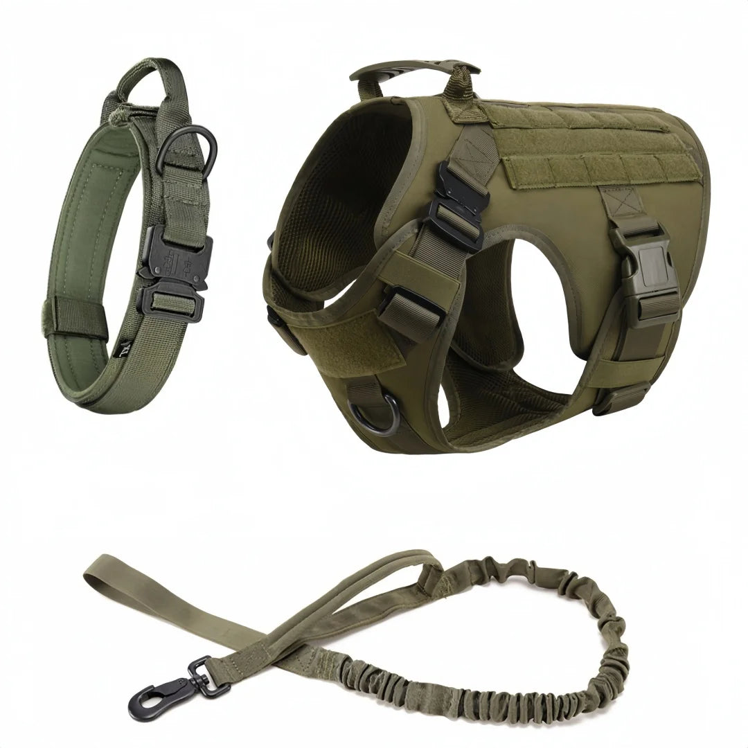 Large Dog Harness, Leash and collar Set Anti-pull