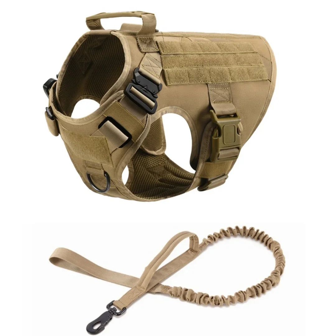 48862654038344|48862654103880|48862654136648|48862654464328